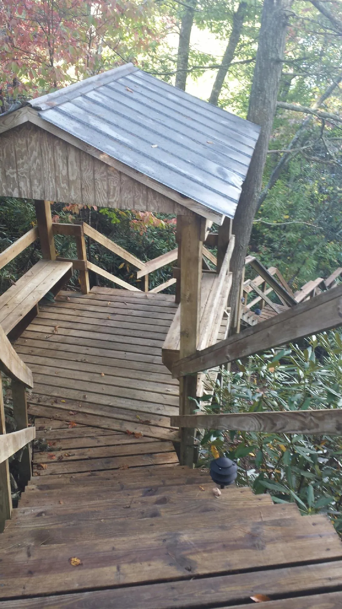 Metal roofed shelter over wooden steps on a wooded walkway — Skylight Repair & Installation work by our crew in Battle Ground