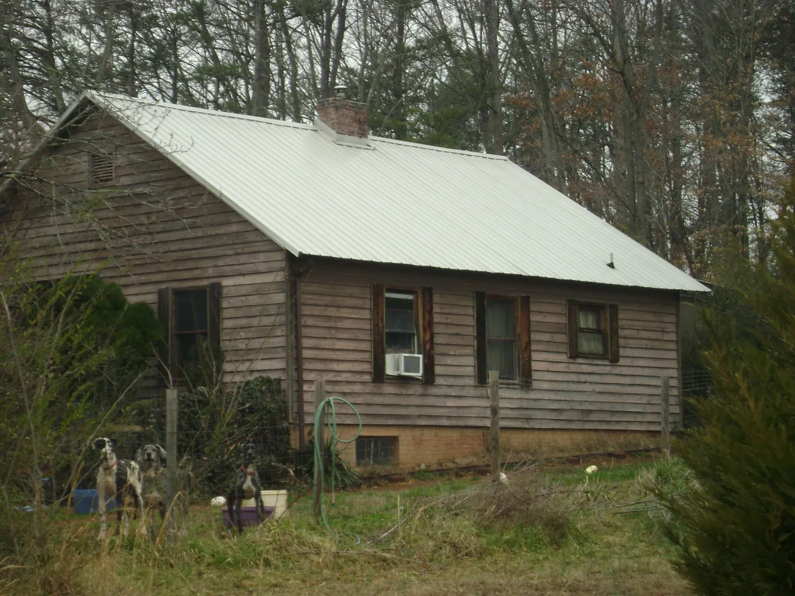 White metal roof on an old wood sided farmhouse, from a Metal Roof Installation job in Battle Ground
